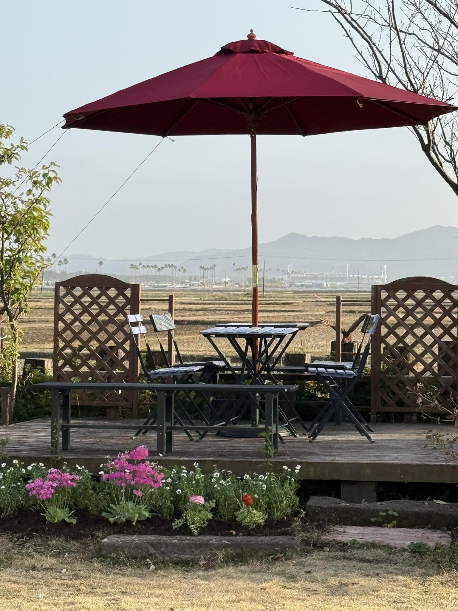 やすらぎの田園のパラソルが新しくなりました。