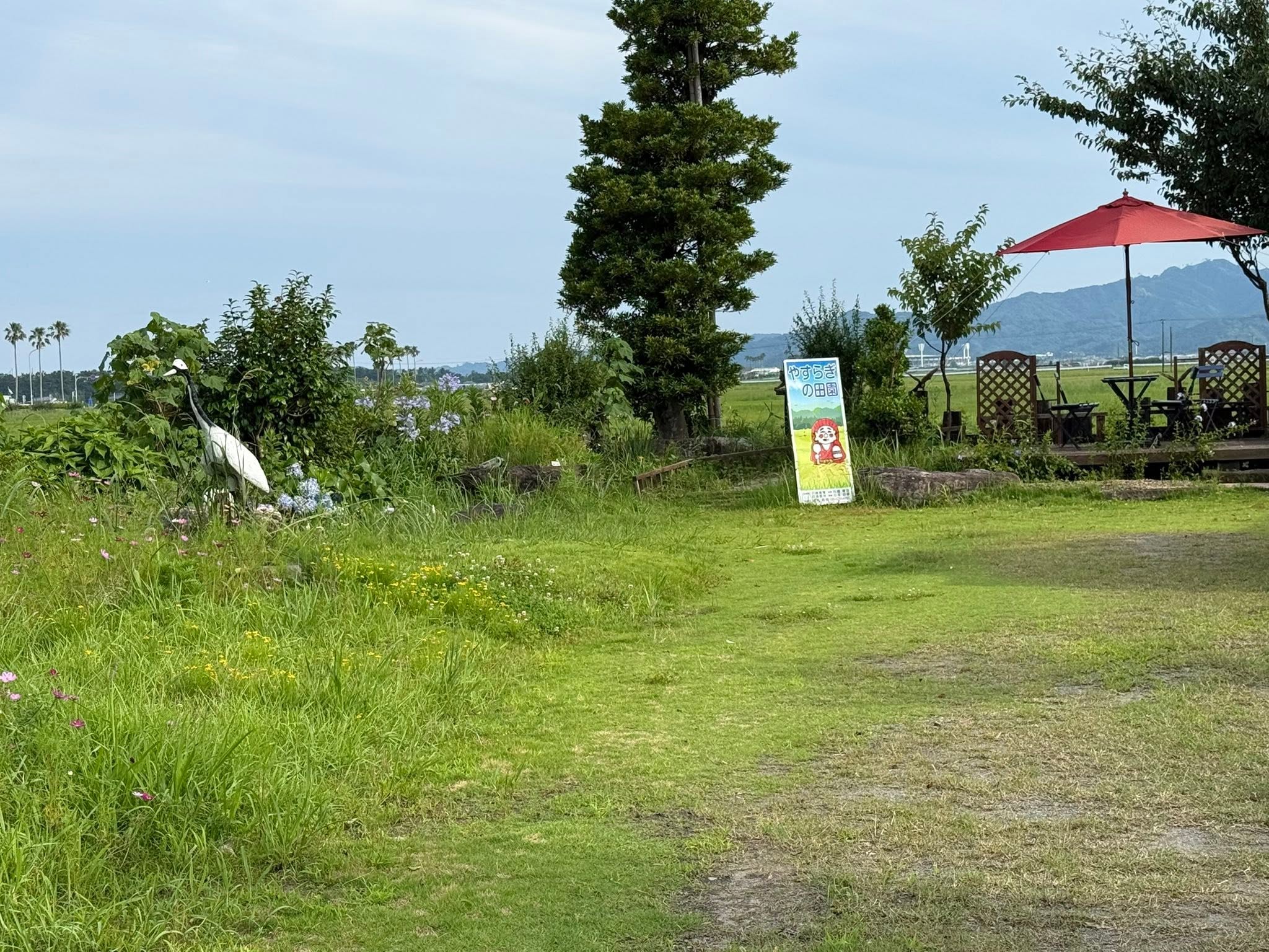やすらぎの田園で一人草取り学習