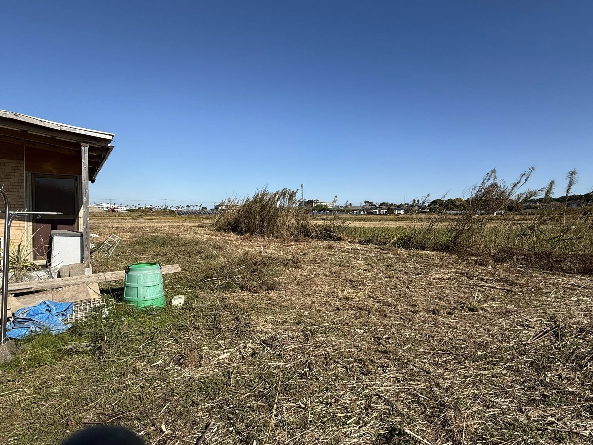 12月7日にやり残した薮を全て払い終わりました。　