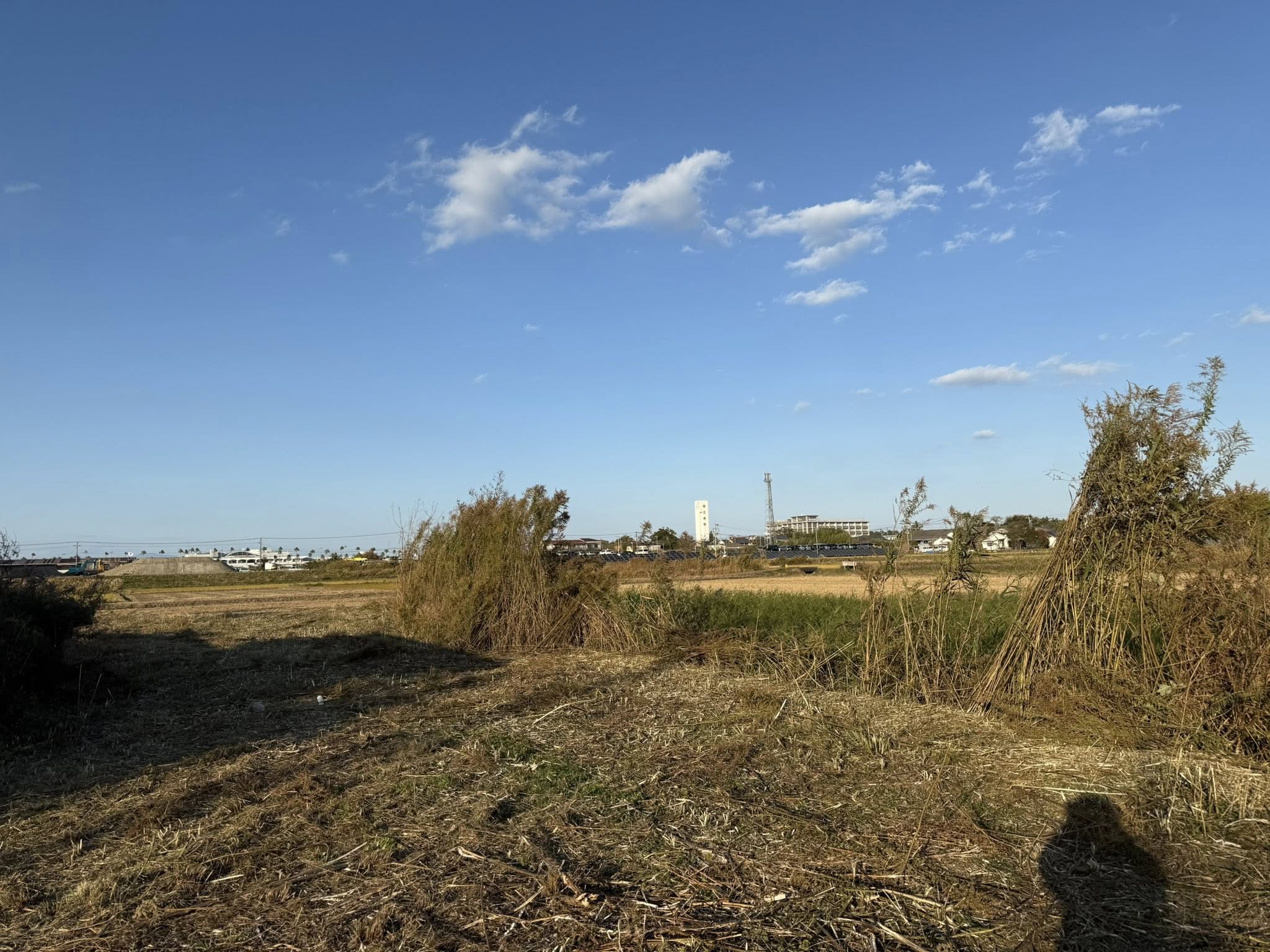 今年1月に同じ草刈機で草払いをした同じ場所の草払いをしました。