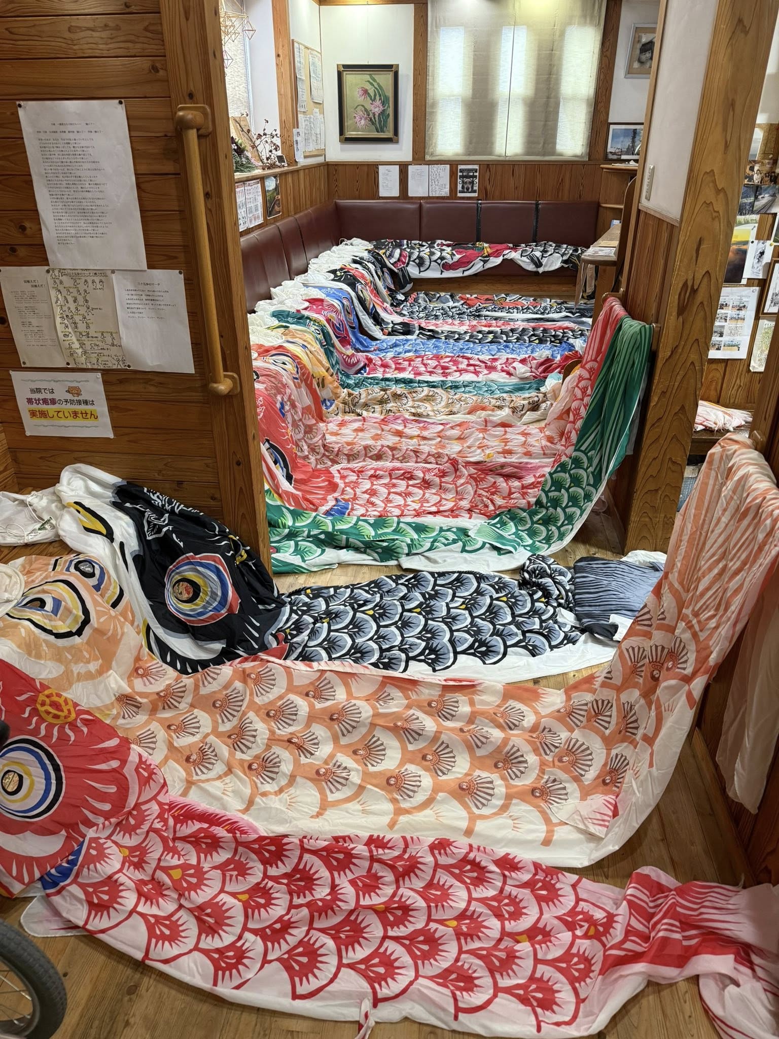 鯉のぼりの季節が来ました。