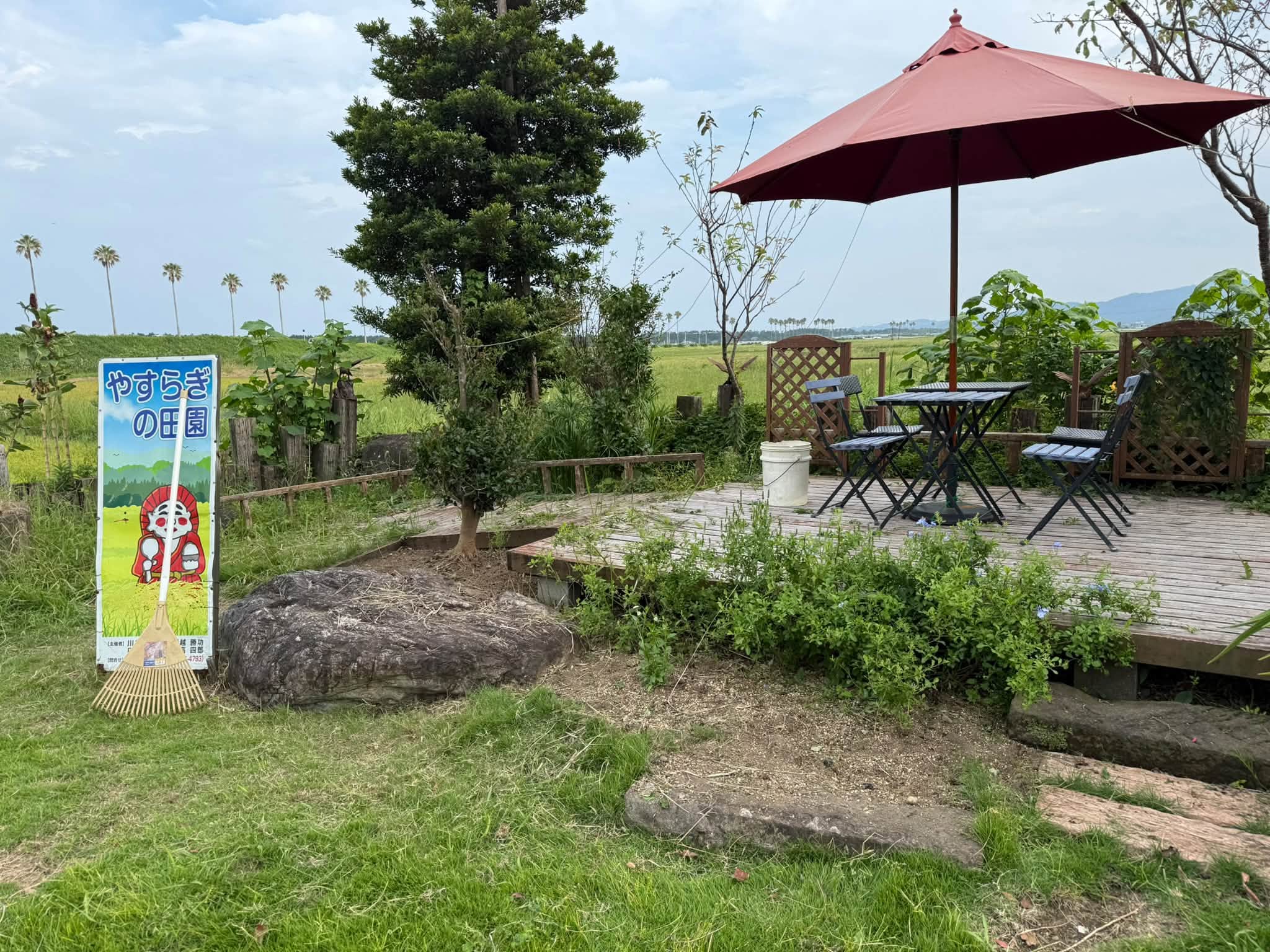 やすらぎの田園の草取りを始めました。