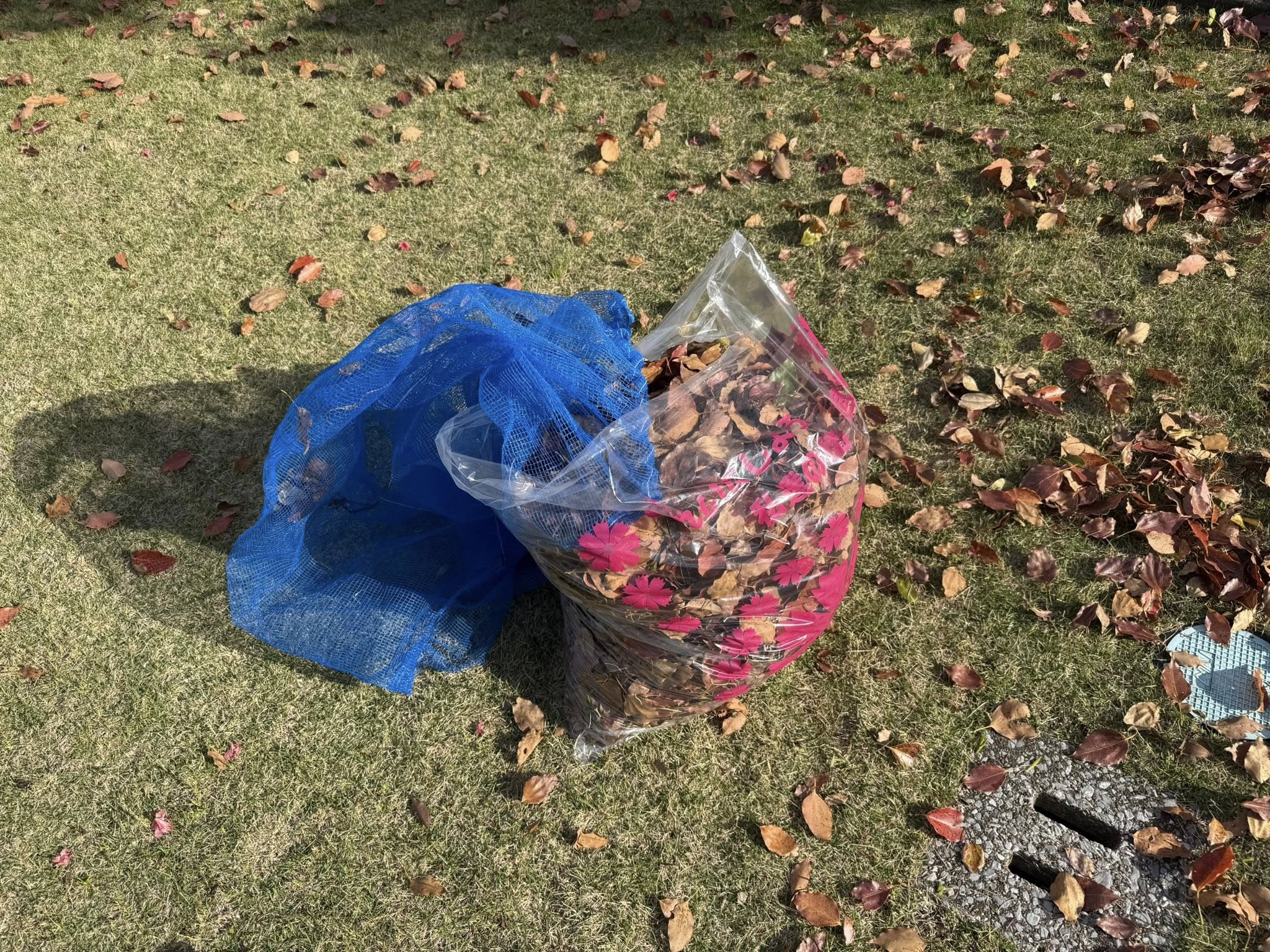 落ち葉の掃除の仕方を考えてみました。